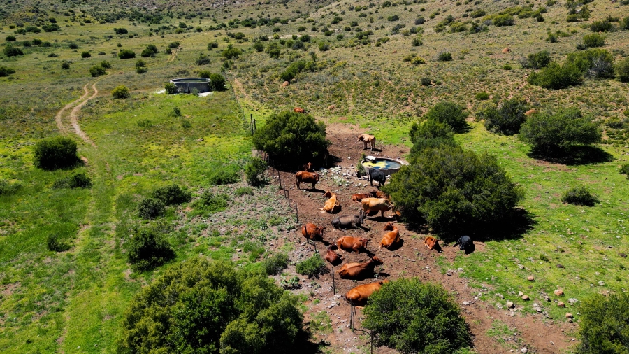 5 Bedroom Property for Sale in Steynsburg Rural Eastern Cape